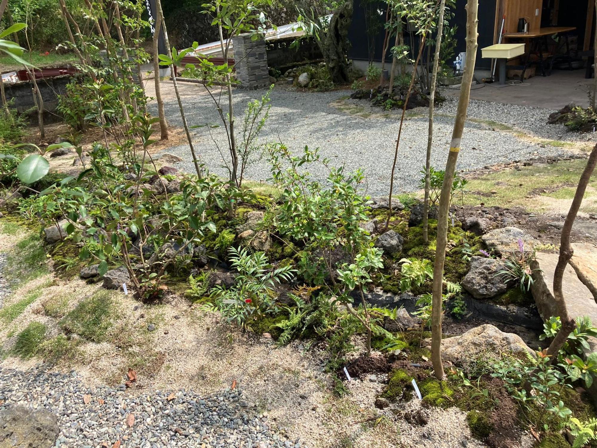 お宿でん吉 Minamiaso Extérieur photo